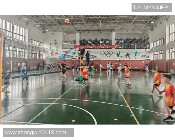 深圳排球队创新阵地战模式助力竞技水平提升与团队协作发展