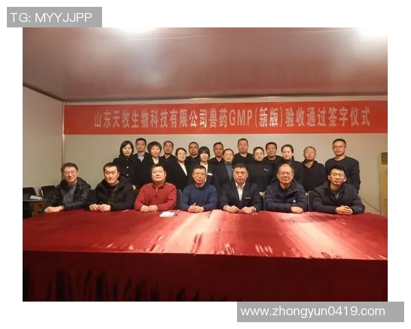 杭州排球队的崛起之路联合会杯背后的奋斗与荣耀