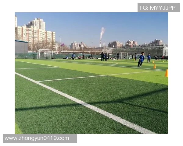 律师在绿茵场上的激情与坚持足球场上的法律智慧与团队精神交融 律师在绿茵场上的激情与坚持足球场上的法律智慧与团队精神交融